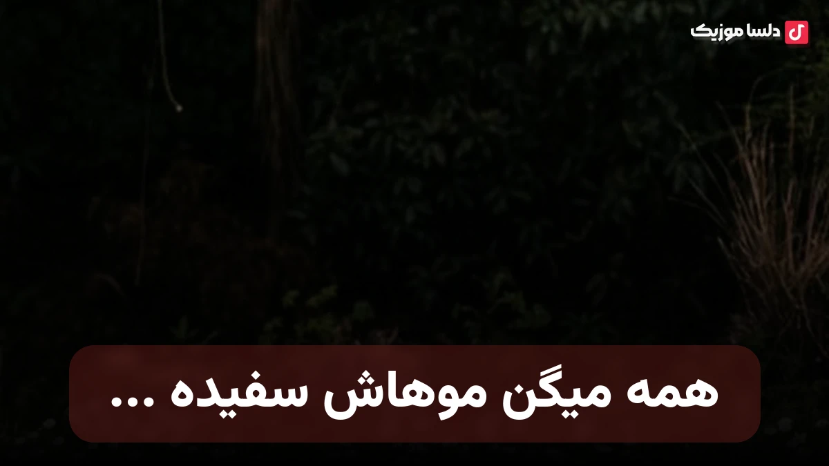 همه میگن موهاش سفیده با صدای زن کامل